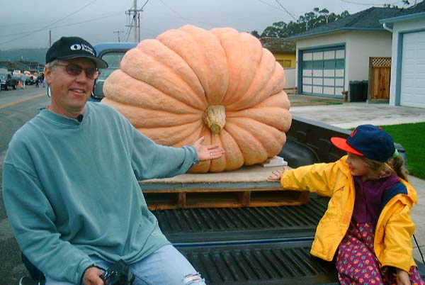 The prettiest big pumpkin in California